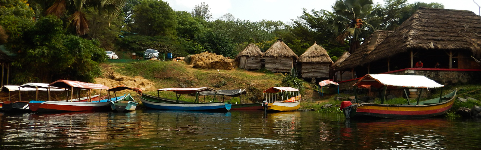 Colorful boats moored to a grassy bank. Small wooden buildings are just behind them.